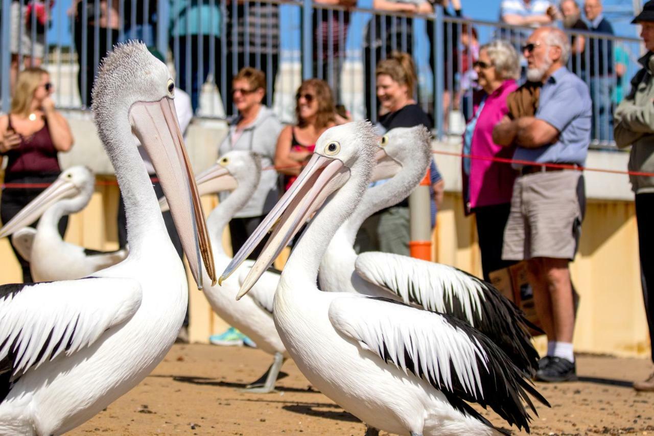 Big4 Ingenia Holidays Phillip Island Newhaven Buitenkant foto